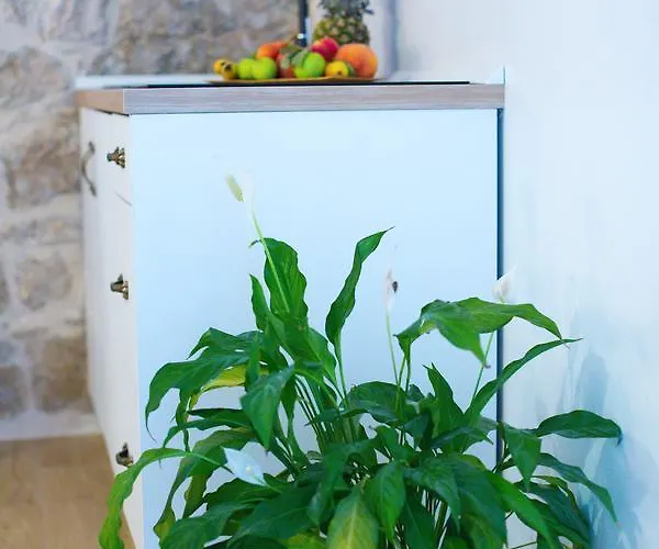 Mana Centre 아파트 스플리트